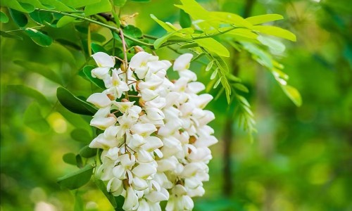 婴儿脖子汗疙瘩网 - 婴儿脖子有汗说明热吗,婴儿脖子起一片一片疙瘩